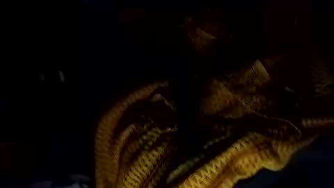 Snapshot of notmesaidteflee chatting on 02-15-26, 12:25 notmesaidteflee online show from 02-15-26, 12:25