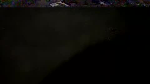 Snapshot of nousernamehello chatting on 05-04-26, 03:02 DarqLight online show from 05-04-26, 03:02