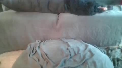 Snapshot of nova_kanee chatting on 04-19-26, 06:10 Nova online show from 04-19-26, 06:10