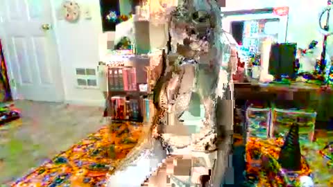 NovaNocturnal616 online show from 12-21-24, 06:55