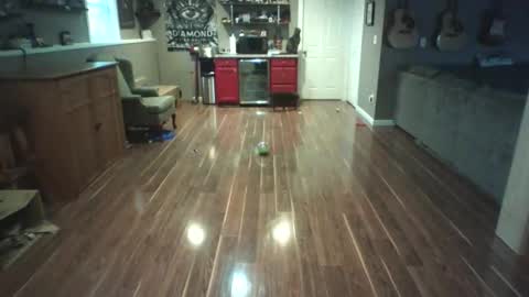 Nudistguy online show from 03-15-26, 10:05