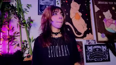   online show from 03-17-26, 06:17