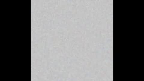 Obsidian stallion online show from 01-12-26, 11:43