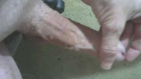 Snapshot of odentonman4fun chatting on 06-20-26, 04:04 odentonman4fun online show from 06-20-26, 04:04