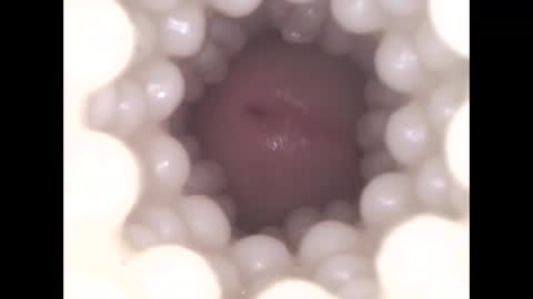 Snapshot of ohioguy4201985 chatting on 04-08-26, 09:48 ohioguy4201985 online show from 04-08-26, 09:48