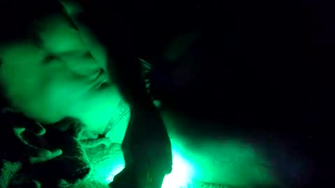 oibrev49 online show from 03-21-26, 09:03