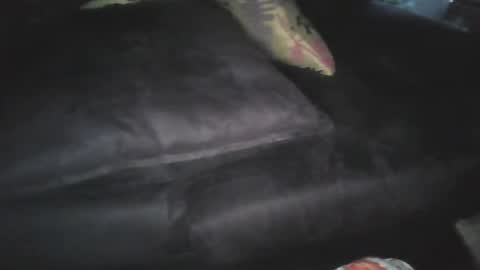 oigreshi online show from 04-12-26, 11:10