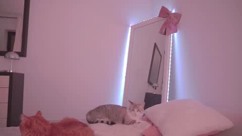 Ariel online show from 02-17-26, 10:27