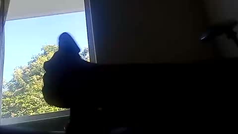 ootripoo online show from 09-19-25, 06:52