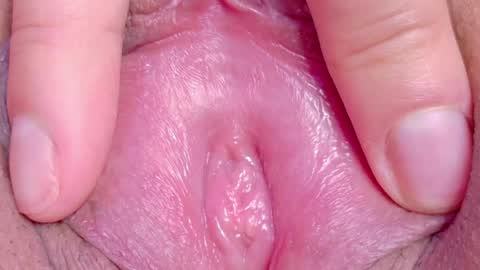 orchidekitty online show from 05-17-26, 09:44