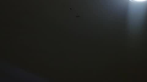 oriana_111 online show from 05-04-26, 11:28