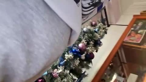 orlandovilla48 online show from 12-05-25, 12:36