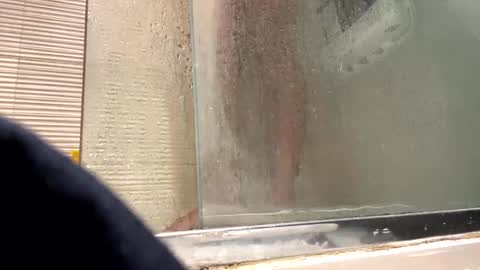 orn74 online show from 12-31-24, 09:17