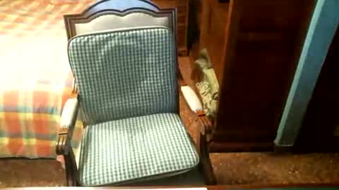 Oscar online show from 04-28-26, 03:39
