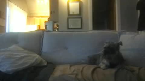 rossignol online show from 02-27-25, 01:16