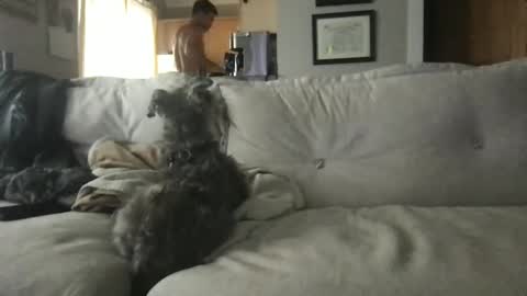 rossignol online show from 09-13-25, 04:29