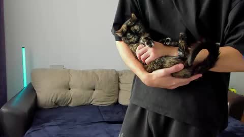 Ostin online show from 03-06-26, 08:44