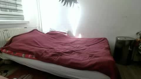 p83291869 online show from 03-03-26, 09:26