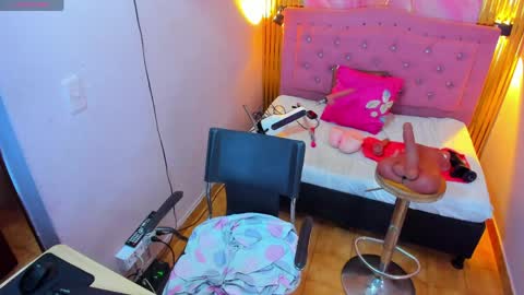 PALOMA 3 online show from 04-01-26, 11:33