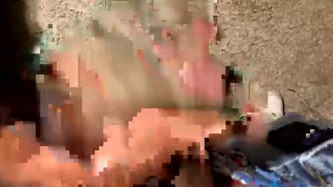 palote_69 online show from 10-17-25, 03:42