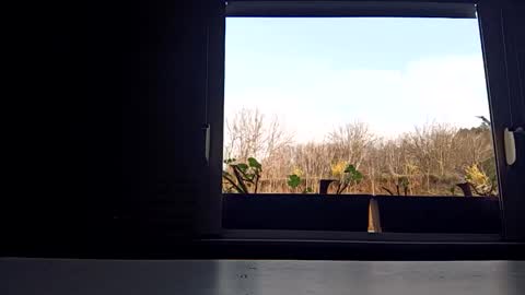 angel hris online show from 04-03-26, 03:43