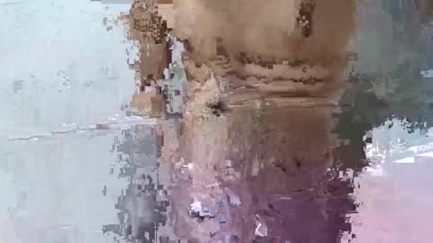 pankubig online show from 09-29-25, 09:25