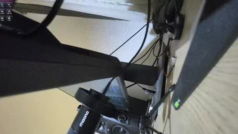 papilovesclits online show from 06-21-26, 03:47