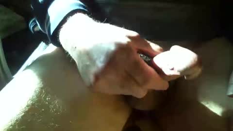 Shmoo online show from 02-26-26, 06:18