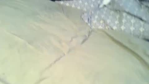Rafaell7878 online show from 05-13-26, 07:33