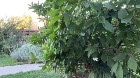 Andreea online show from 09-16-25, 04:35