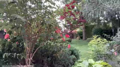 Andreea online show from 06-04-26, 05:57