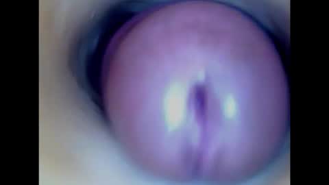 Paula 18 Aninhos online show from 02-14-26, 03:31