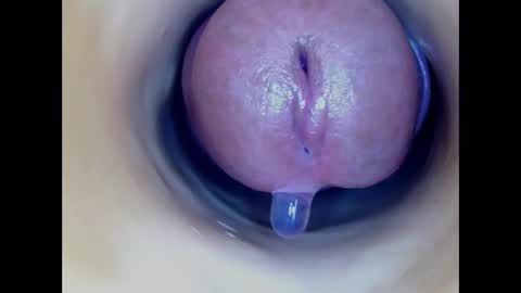 Paula 18 Aninhos online show from 03-02-26, 05:08