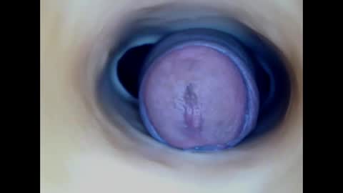 Paula 18 Aninhos online show from 03-29-26, 03:17