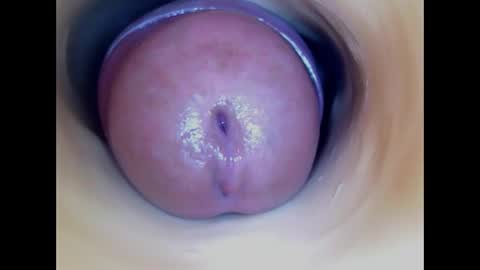 Paula 18 Aninhos online show from 04-01-26, 03:53