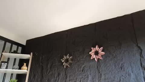 Paulo online show from 01-17-26, 09:18