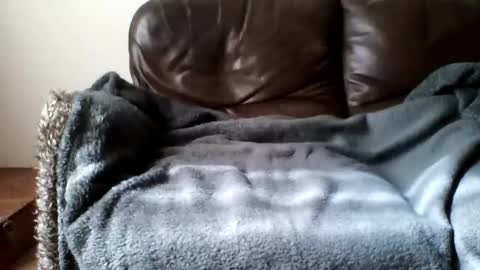 paurlien online show from 03-21-26, 11:04