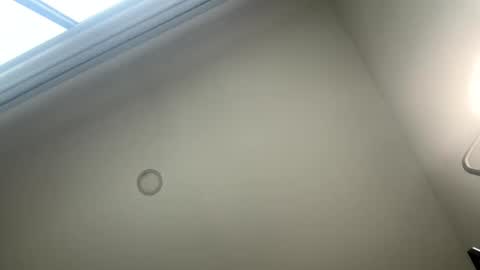 Suscribe to onlyfans   online show from 03-06-26, 03:41