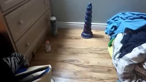 perdz768563 online show from 03-22-26, 11:30