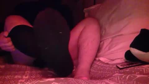 petmask online show from 04-21-26, 12:34