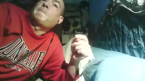 pets76 online show from 03-01-26, 04:09