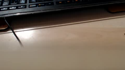 pier49x online show from 02-10-25, 03:35