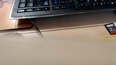 pier49x online show from 09-11-25, 01:17