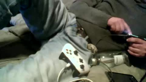 Pierke online show from 01-09-26, 12:57