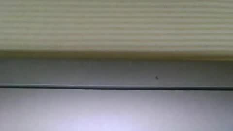 CUTE RINA online show from 06-03-26, 02:44