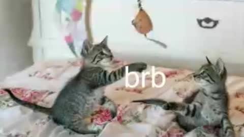 Snapshot of pink_girl0n chatting on 06-25-26, 01:38 Kitty online show from 06-25-26, 01:38