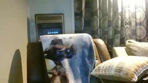 pirate334 online show from 01-07-26, 11:29