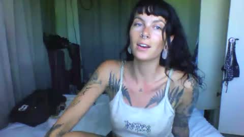 pixiecatfairy online show from 03-24-26, 06:40