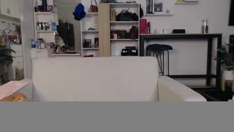 Snapshot of plasticgirll chatting on 01-11-25, 05:51 plasticgirll online show from 01-11-25, 05:51