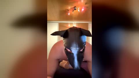 playdog123 online show from 06-25-26, 03:27